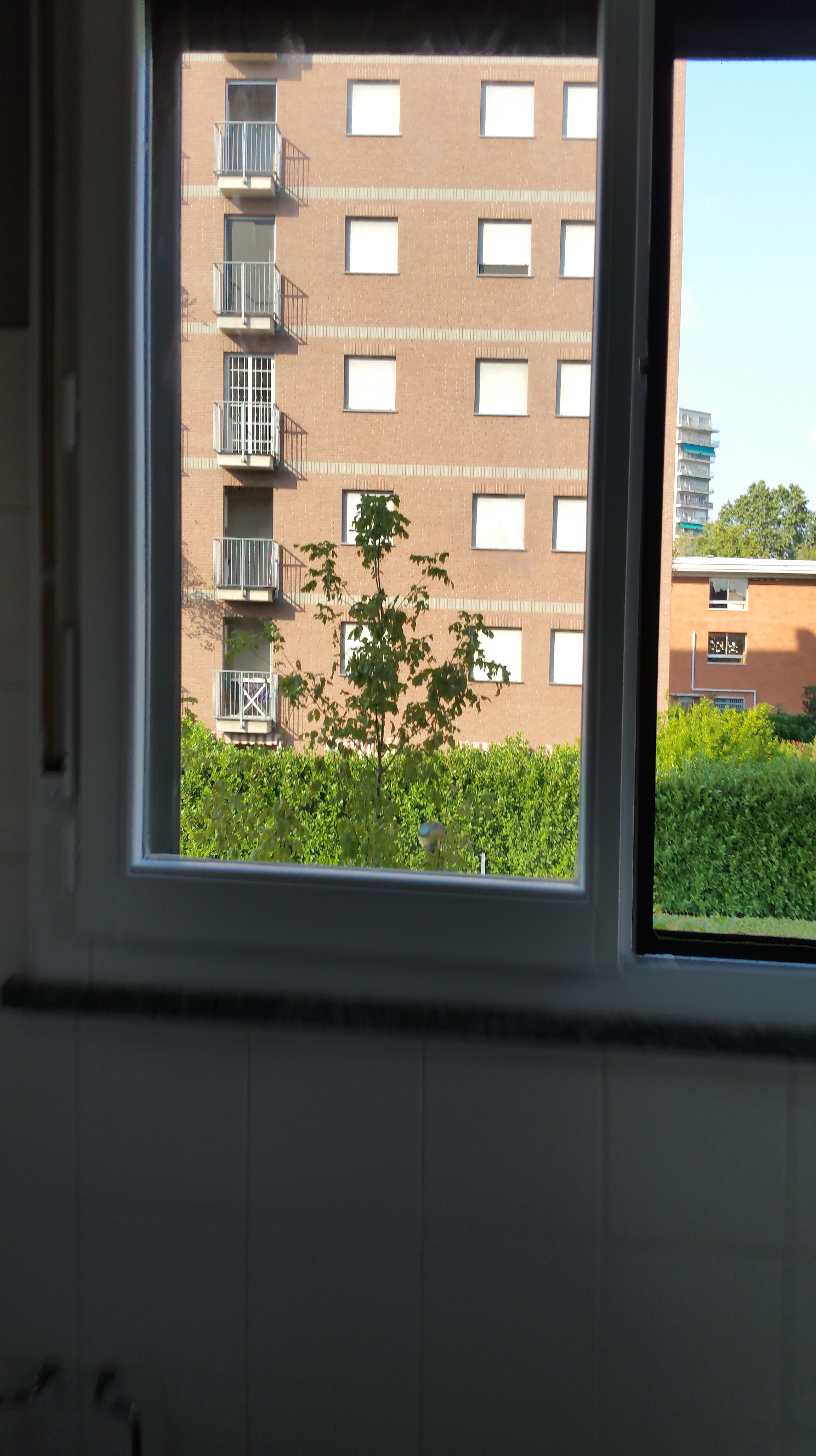  Rinnova le tue finestre  laminato 05 www.ristrutturazionmilano.com.jpg