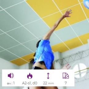 Controsoffitti Per istruzione 03